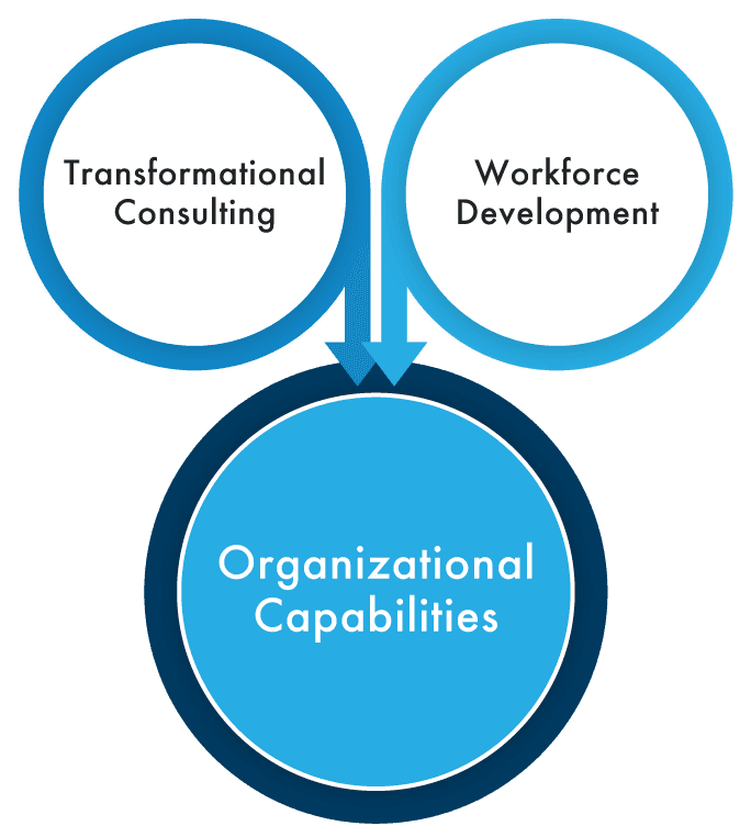 Global Lynx Ecosystem of Workforce Development